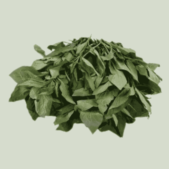 Utazi